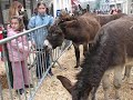 Ferme vivante
