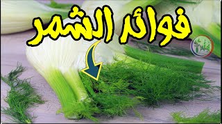  | موسوعة التراث الفلسطيني