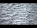 SNOWBOARDING VIDEO - Dj MESTA's FRESH POWDER RIDES - Jan 2012 pt.1
