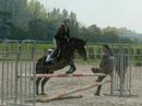 nanouk mon poney