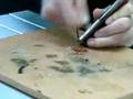 Camperland The Aussie Survival Tool how to start a fire