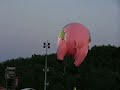 roger-waterslandgraaf-pig.html