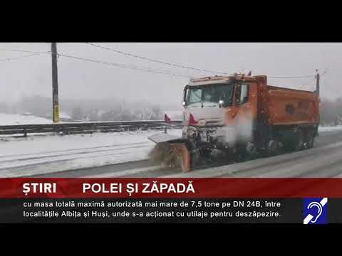 Polei și zăpadă