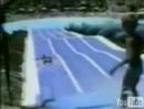 Acquafan all\