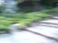 F:\Videos\JARDIM BOT 1