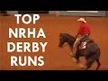 Reining Horse NRHA Derby