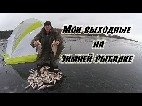 что клюет на вилейке что клюет на вилейке