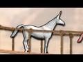 Charlie The Unicorn