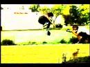 Birdhouse Video Contest Entry