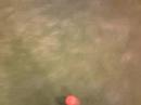 hockeyy hockeyy