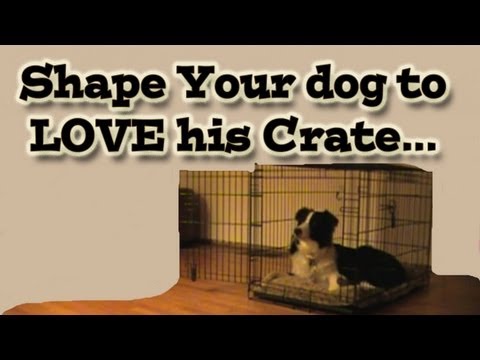 Shaping your dog to love his crate - Clicker Training Tutorial