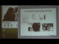 Science, Technology  &  Us: Dr. Lakshmi Nair (Part 5 of 7) 