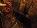 Puggle vs German Shepard