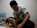 dan�a furao furou #1