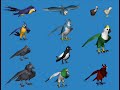 here are some pictures of summoning creatures that i found on the link shown down
omg these 
