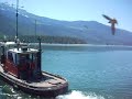 Mica Lake Ferry Mica Lake Ferry