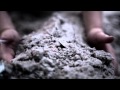 I Am The Finisher Swallowtail Video and Lyrics