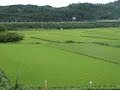 pertanian korea