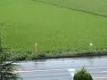pertanian korea pertanian korea