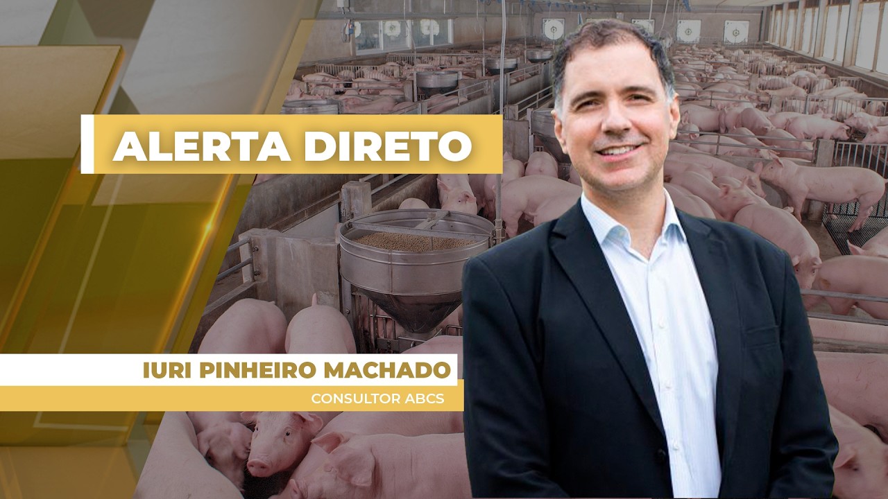 Mercado de Suínos em Alerta