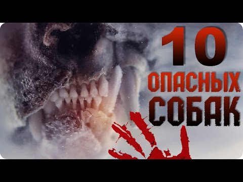 Смотреть фильм красная шапочка в качестве hd 720