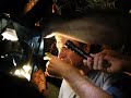 Marius Burger explains the treefrog
