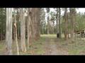 videos de WWW.HOUSEPROPIEDADES PARCELAS RIO CHAMIZA 2