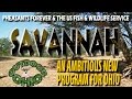 Savannah!