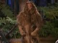 The Wizard Of Lol The Wizard Of Lol