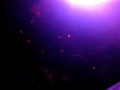 Live @ Pacha NYC