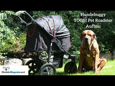 Hundebuggy im Test - Der TOGfit Pet Roadster