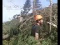 Click here to watch this video Logging on Granstrom Road part10