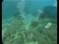 Eden Roc Diving School at Cala Gogo