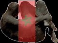 MAROC REVERS DE LA MEDAILLE