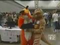 Anthrocon 2008 news report KDKA