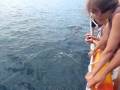 videos de Dolphins on the way home from the Poor Knights.