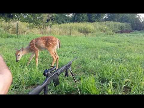 how to practice shooting without a gun