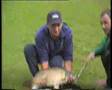 andys big carp