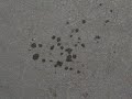 evaporation.html