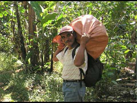 [Video-Stanford's Guatemala Service Learning Trip, 2008-2]
