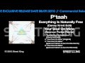 P'taah Everything Is Naturally Free Video and Lyrics