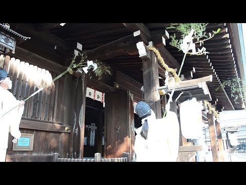 動画