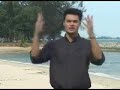 Roger Hamilton - The Wealth Paradox