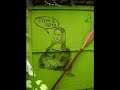 murais e interven��es urbanas