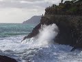 Curpi de m�