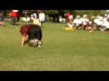 videos de Oakland - Wednesday Evening Session Pup RB
