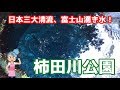 【柿田川公園】ドローン撮影 静岡良いとこ紹介04