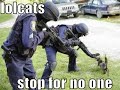 Very Funny Cats 70