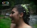 XV A�OS VIANEY