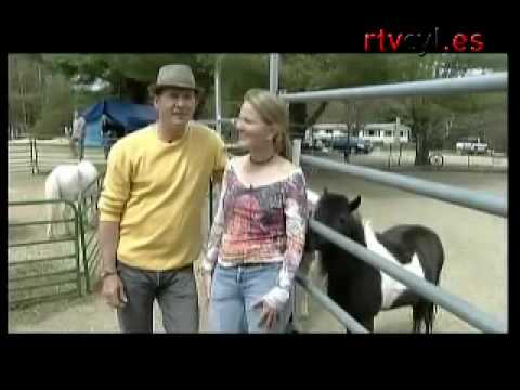 El Caballo Mas Pequeño - Increíble